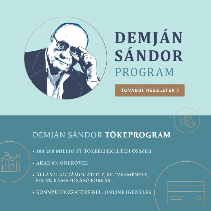 Demján Sándor Tőkeprogram