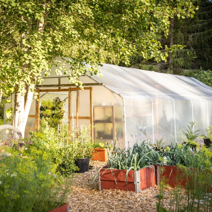 NAV ellenőrzések - kertészetek az ellenőrzések központjában