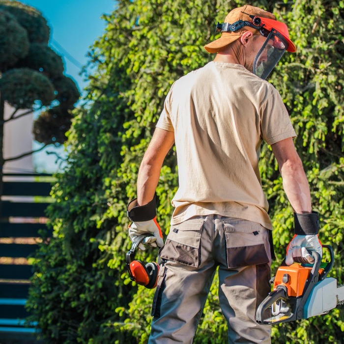 2026: könnyítések az egyszerűsített foglalkoztatásban