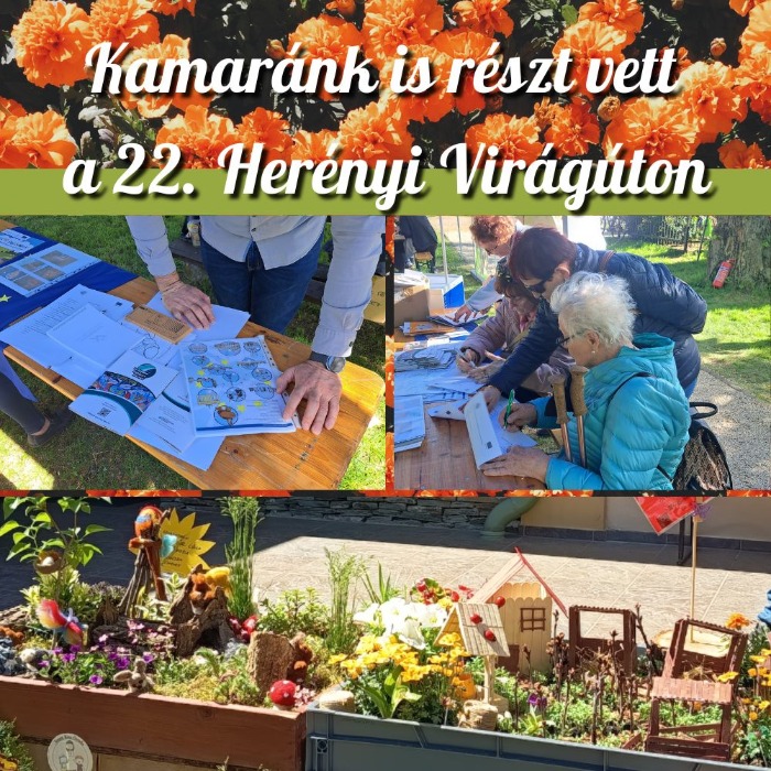Fenntarthatóság és közösségi élmény: Kamaránk is részt vett a 22. Herényi Virágúton