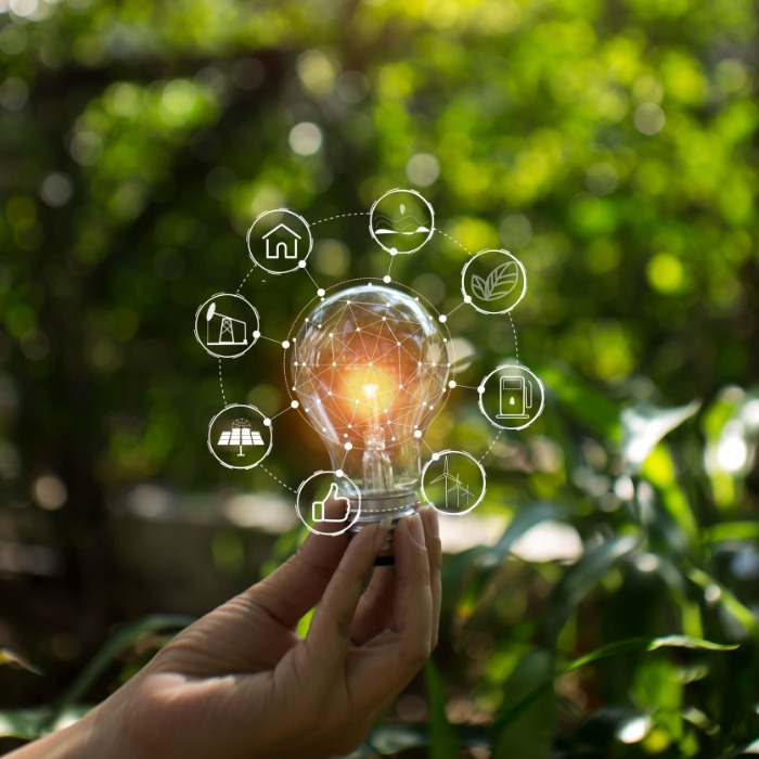 MÁR LEHET JELENTKEZNI AZ ÚJ, FENNTARTHATÓSÁGI MENTORPROGRAMRA!