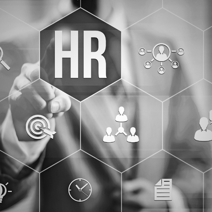 Friss terndek, újdonságok! Munkaerőpiaci fórum 2025.11.19.