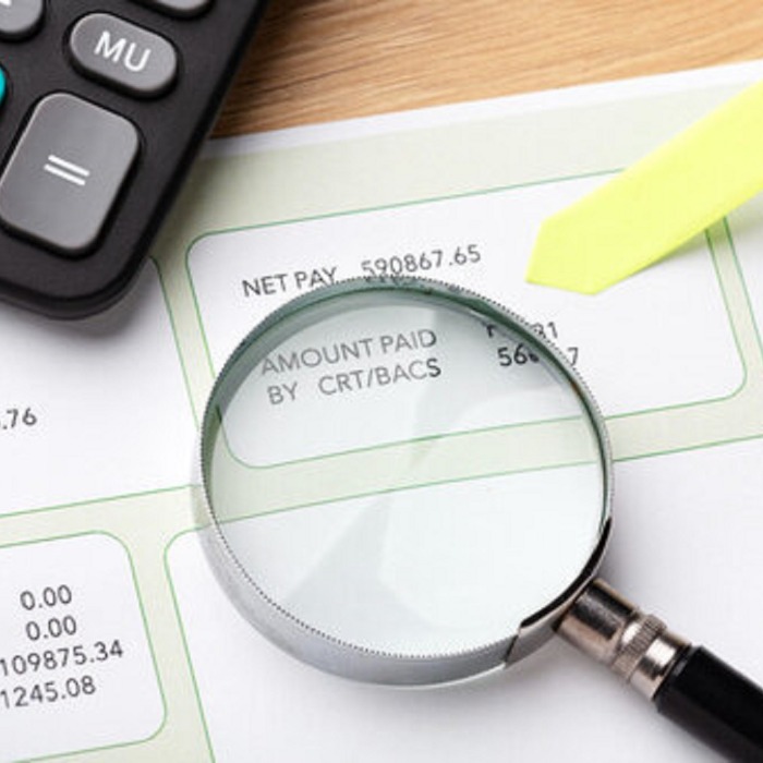 Nyilvános a NAV 2026-os ellenőrzési terve