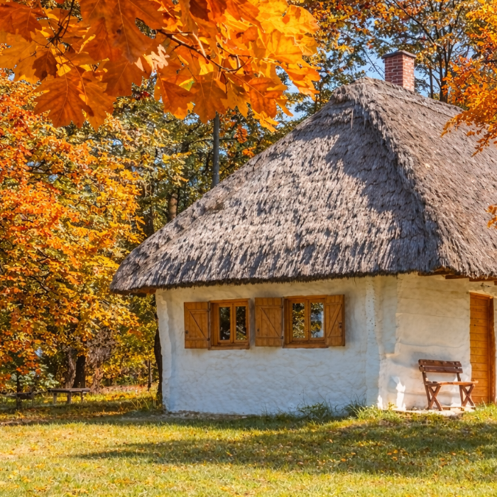 Határon átnyúló partnerség keres vállalkozókat a RE-ACTION projekt keretében